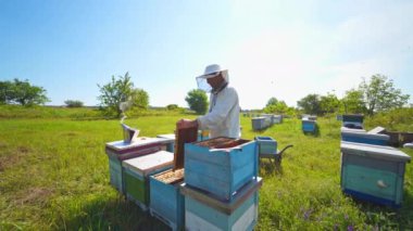 Apiary sahada. Arıcı elinde arılarla bal çerçevesi tutuyor. Arı yetiştiricisi ahşap kovanın yanında çalışıyor. Çiftçi bal peteği çıkarıyor.