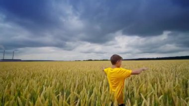 Tarım arazisindeki küçük çocuk. Mutlu çocuk etrafta dönüyor ve tarlalarda saklanıyor. Bulutlu gökyüzünün altındaki sarı alanda tatlı bir çocuk..