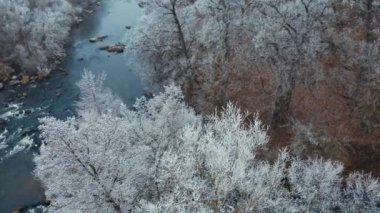 Suyun üstündeki karlı ağaçların tepeleri. Kış mevsiminde ormanda akan güzel, dar bir nehir. Karla kaplı beyaz ağaçlar. Hava görünümü.