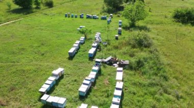Arı kovanları doğada. Yazın yeşil çimlerde ahşap kovanları. Arılar arıların arka planında kameraya yakın uçarlar. Arıcı arı çiftliğinde çalışıyor. Hava görünümü.