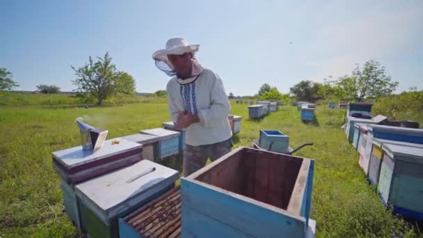 蜂房附近的养蜂人 头戴防护帽的雄性养蜂人在绿色自然中与木制盒子一起工作 — 图库视频影像