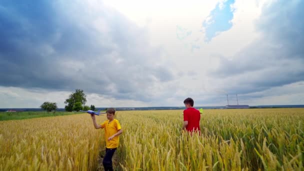 Two Happy Boys Playing Toy Plane Wheat Field Cloudy Sky — Stock Video