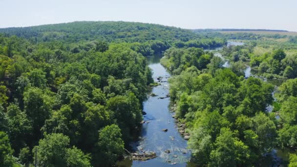 Grüner Wald Kleiner Fluss Von Oben Mit Einer Drohne Eingefangen — Stockvideo