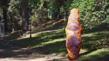Ejderha kostümlü neşeli insan. Ejderha karnavalı kıyafetli komik insan yazın parkta eğleniyor..