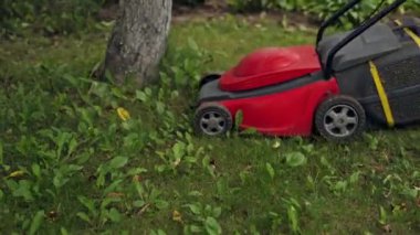 Kadın çimleri kesiyor. Çim biçiyorum. Çim biçme ekipmanı. Çim biçen bahçıvan yazın bahçeyle ilgileniyor..