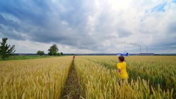 Çocuklar Tarım Alanında Eğleniyor Çocuklar Yaz Günü Tarım Arazisine Oyuncak — Stok video