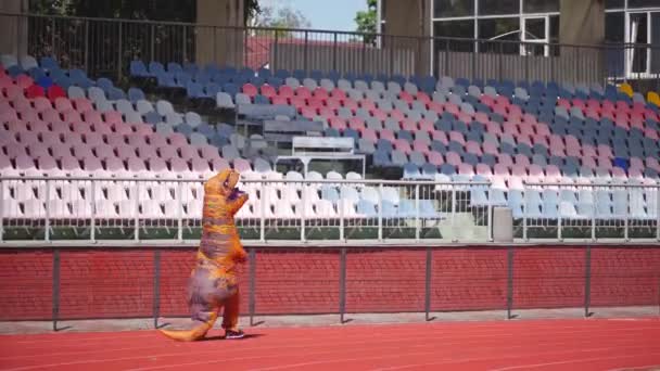 大爆炸龙衣户外 身穿滑稽龙装的人在红色体育场快乐地奔跑着 — 图库视频影像