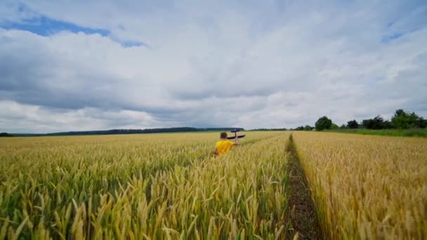 黄色いフィールドの子供 小さな少年が農業用植物の間を歩き回り 手元に玩具飛行機を抱えていた スローモーション 健康な子供時代 — ストック動画