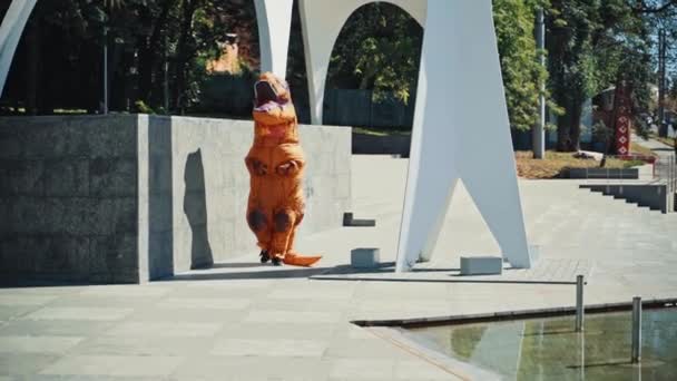Naga Lucu Kota Orang Tak Dikenal Yang Mengenakan Kostum Naga — Stok Video