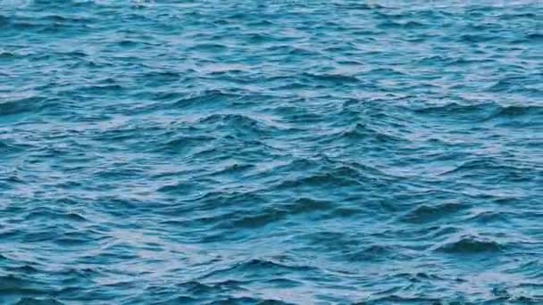 美しい海の形 嵐で波が水の上を動いている 青い海の水の背景 スローモーション — ストック動画