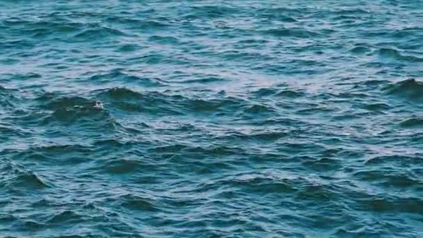 嵐の海の風景 昼間の青い海の波 落ち着かない海の背景 水質について スローモーション — ストック動画