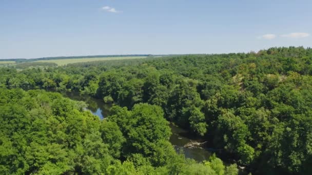Natureza Incrível Verão Voar Sobre Floresta Verde Belo Rio Azul — Vídeo de Stock