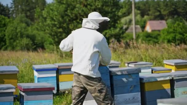 养蜂过程 专业的养蜂人在农村的养蜂场工作 戴着防护帽照顾蜜蜂的养蜂人 — 图库视频影像