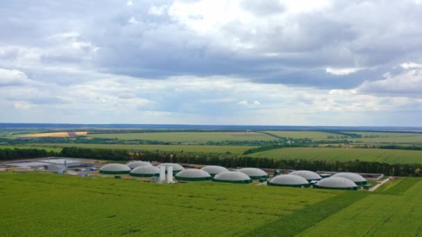 Tanques Armazenamento Para Biomassa Fábrica Moderna Biogás Campo Verde Verão — Vídeo de Stock