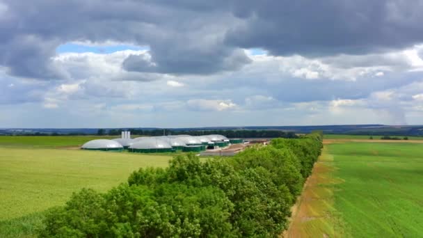 Biogas Plant Field Organic Farm Dark Cloudy Sky Surrounded Green — Stock Video
