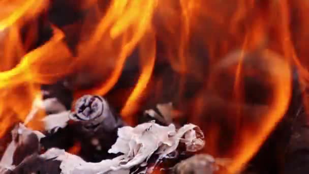 Turuncu Alev Arka Planı Ahşap Kütüklerin Üzerinde Canlı Ateş Alevinin — Stok video