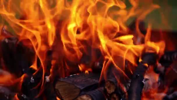 Ayrıntılı Yangın Alevi Tahta Kütüklerden Çıkan Parlak Alevler Turuncu Ateş — Stok video
