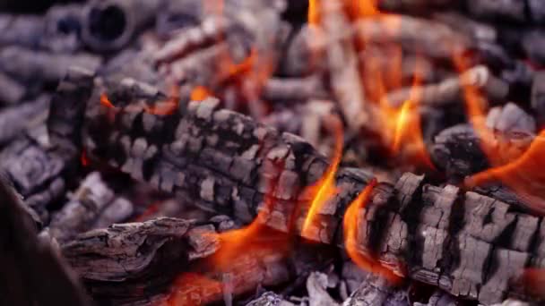 Yangında Kömür Yanıyor Hafif Alev Arkaplanı Olan Yanmış Kütükler Ateş — Stok video