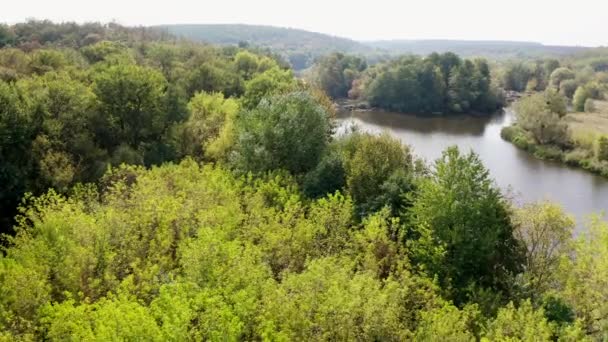 Nature Estivale Fond Paysage Incroyable Rivière Dans Forêt Lac Calme — Video