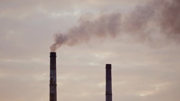 Промышленные Трубы Дымом Против Вечернего Неба Вредные Выбросы Высвобождающиеся Промышленных — стоковое видео