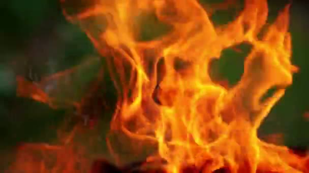 Detaillierte Bewegung Der Lebendigen Flamme Verdrehte Zungen Tanzenden Feuers Orangefarbene — Stockvideo