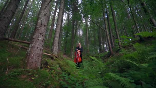 Muhteşem Kadın Çelloyla Ormanda Yürüyor Yeşil Ormanda Müzik Aletini Tutan — Stok video