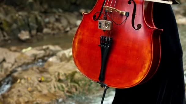 外面女人手里拿着红色大提琴在自然背景下演奏乐器的女大提琴家 后续行动 — 图库视频影像