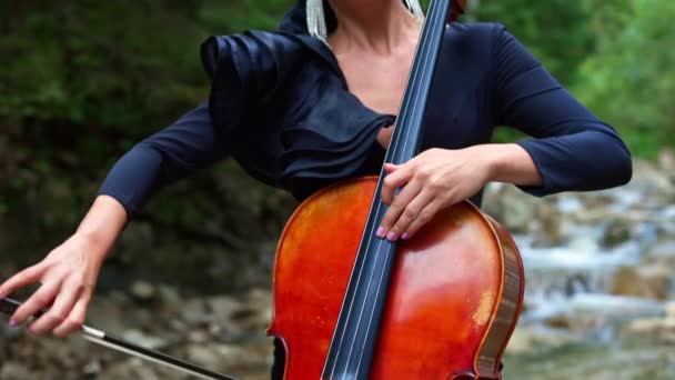 女人在室外演奏大提琴 女音乐家在天然河流背景下演奏乐器 妇女手中的音乐设备 — 图库视频影像