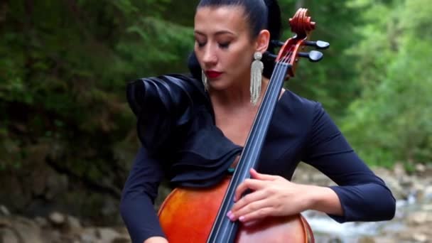 奢侈的女人会拉大提琴 美丽的女小提琴手在夏天的风景里拉小提琴 穿着黑色服装的迷人女人一边演奏乐器一边欣赏音乐艺术 — 图库视频影像
