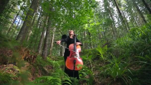 Telli Enstrümanlı Güzel Bir Kadın Ormandaki Kadının Elinde Büyük Bir — Stok video