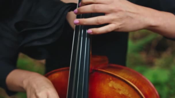 大提琴演奏女人的手指用大提琴的弦演奏音乐 女性手中的乐器在室外 后续行动 — 图库视频影像
