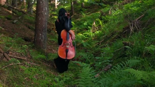 Ormanda Çellosu Olan Genç Bir Kadın Ormanda Yürüyen Uzun Siyah — Stok video