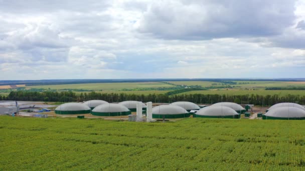 Biogáz Termelés Nyáron Biogázüzem Tárolótartályai Zöld Mezőkön Megújuló Energia Biomasszából — Stock videók