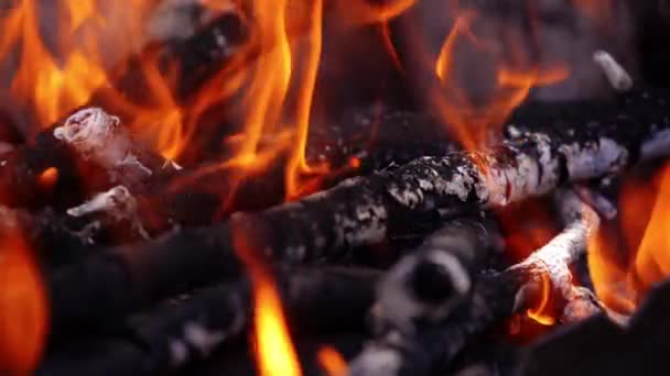 Leuchtend Rote Flammen Einem Grill Kohlenbecken Helles Lagerfeuer Mit Lebendigen — Stockvideo