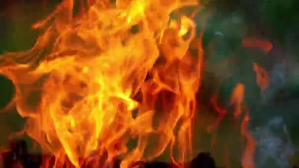 Helder Vuur Vlammen Branden Open Haard Prachtige Oranje Vlamtongen Houten — Stockvideo