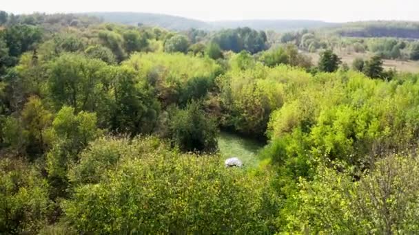 Erstaunliche Landschaft Umgebung Grüne Bäume Und Wiesen Naturhintergrund Sommer Ruhige — Stockvideo