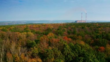 Endüstriyel borularda renkli ağaçlar. Güzel sonbahar ormanının yakınında zararlı bir fabrika. Çevreyi kirletiyor. Hava görünümü.