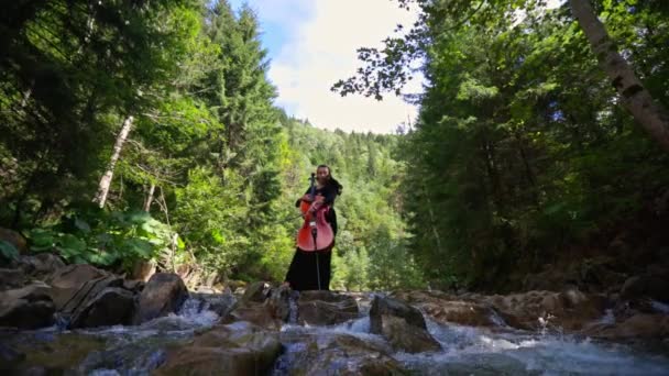 Mulher Com Violoncelo Fundo Natureza Verde Violoncelista Feminino Atraente Tocando — Vídeo de Stock
