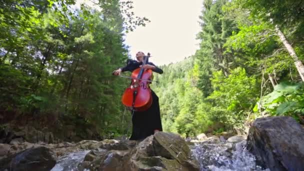 外面弹大提琴的漂亮女人穿着长裙的年轻女士表演着令人惊奇的夏季自然背景的音乐 — 图库视频影像