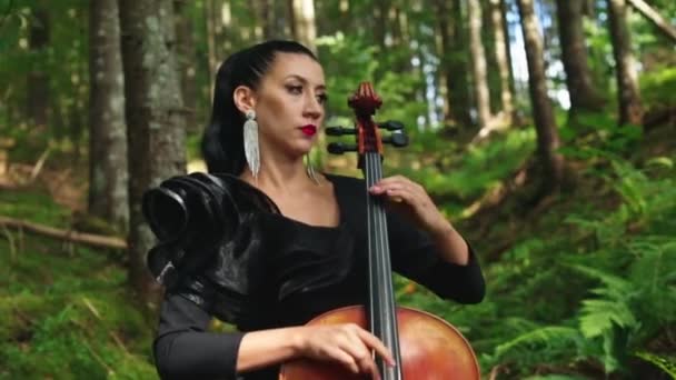 迷人的女人用乐器 穿着黑色衣服的美丽音乐家在森林里表演音乐 美女在外面拉大提琴 — 图库视频影像