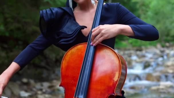大提琴吸引人的音乐家 穿着华丽黑色衣服的漂亮女人 在夏天的大自然背景下演奏乐器 女大提琴演奏家的肖像 — 图库视频影像