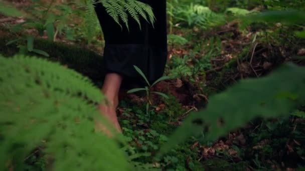 女孩赤脚站在绿草上 雌性在森林里散步在新鲜的苔藓中穿着长裙的女人的腿 后续行动 — 图库视频影像