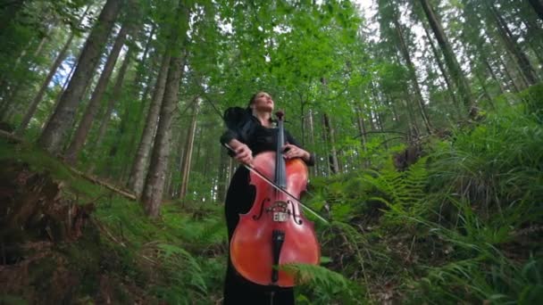 拥有美丽自然的乐器的女士 穿着黑色长裙 在绿林中弹奏大提琴的迷人女人 — 图库视频影像
