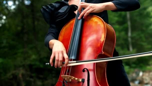 外面的女人手里拿着大提琴美丽的女人 戴着耳环 身穿黑色衣服 在大自然的背景下演奏乐器 — 图库视频影像