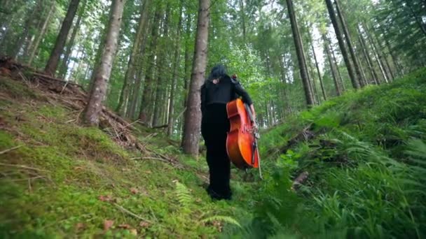 Muzikant Zwarte Jurk Wandelt Het Bos Vrouw Met Cello Gaat — Stockvideo