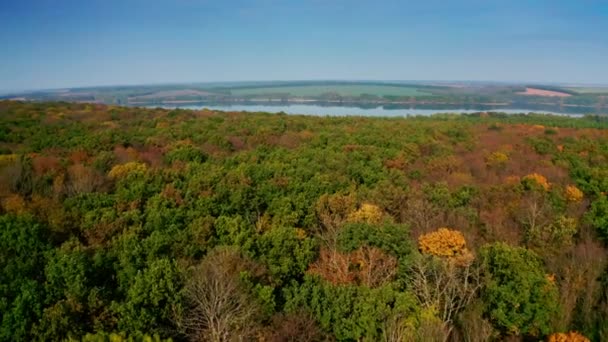 Erstaunlich Buntes Laub Auf Flusshintergrund Grüne Rote Und Gelbe Bäume — Stockvideo