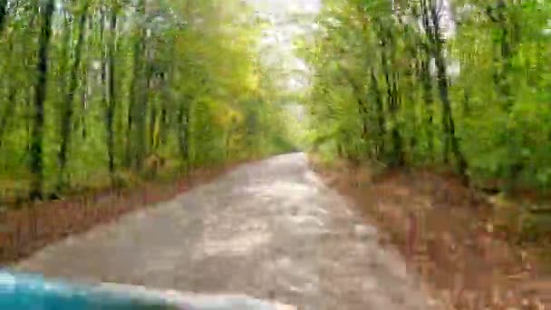 Лесная Дорога Осенью Вождение Автомобиля Асфальтированной Дороге Среди Красивых Деревьев — стоковое видео