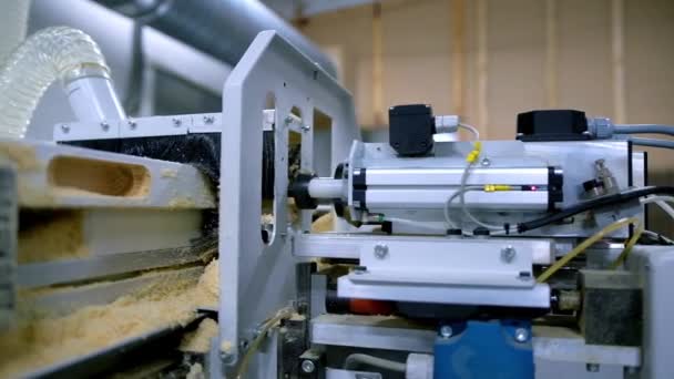 Produção Portas Fazendo Portas Madeira Máquina Ferramenta Automatizada Equipamento Moderno — Vídeo de Stock