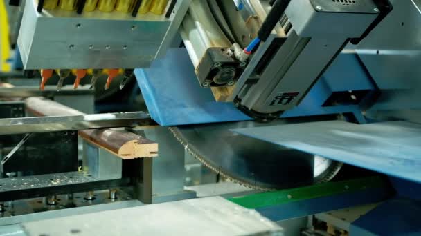 Nowoczesny Sprzęt Cięcia Drewna Automatyczna Maszyna Produkcji Drzwi Warsztacie Produkuję — Wideo stockowe