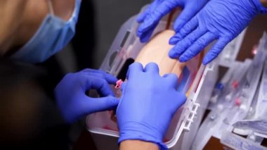 Sonda yerleştirme öğrenimi. Steril eldiven giyen öğrenciler sahte bir ele kateter takmak için çalışıyorlar. Tıbbi eğitim. Yakın plan..